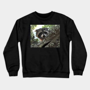 Peeking Baby Racoon Crewneck Sweatshirt